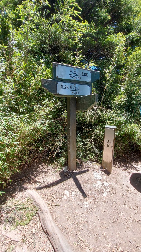 111/07/23畢羊縱走DAY 1(大禹嶺-820林道-畢祿山-鋸東山屋)_1777465