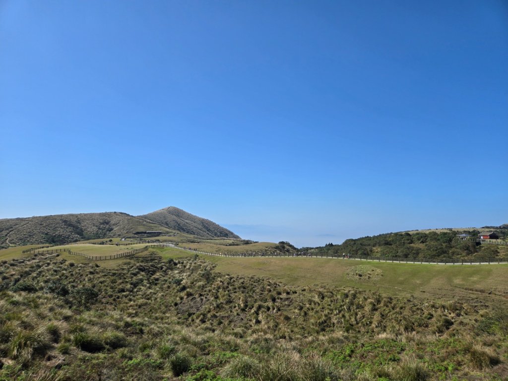 擎天崗環形步道_2722254