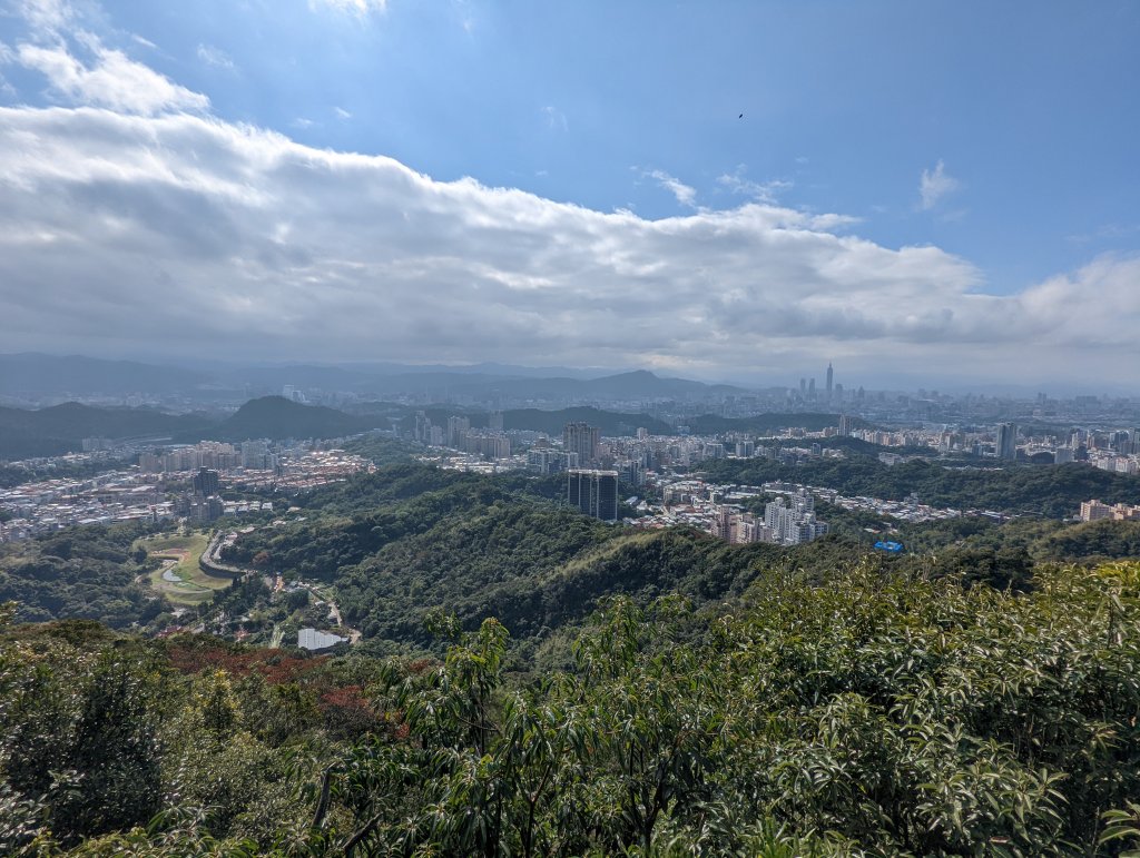 大溝溪蝴蝶花海。圓覺三尖之二「鯉魚山、忠勇山」_1576520