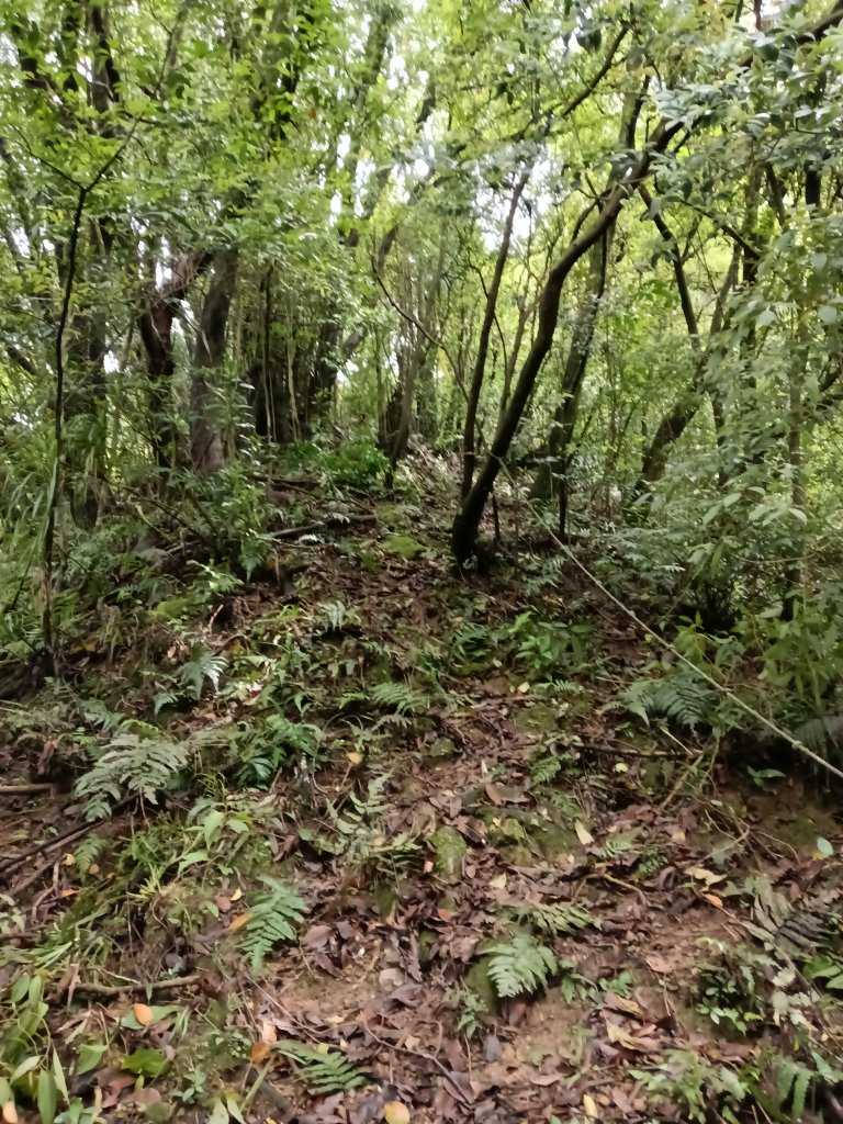 平溪區三功大厝+番子坑山+千階嶺步道O型_2781134