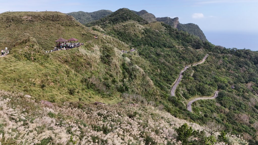 2025.11.29－草嶺古道芒花季封面圖