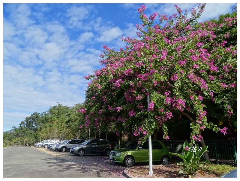 月牙灣/月潭步道_755082