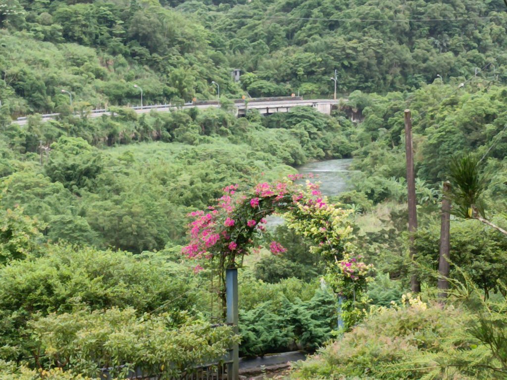 雙溪區平水+外柑腳山去回_2784122