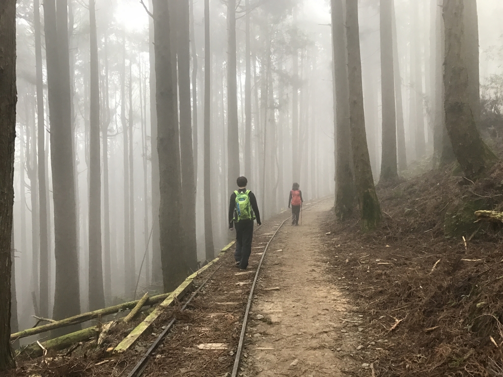 特富野的鐵道與旅人封面圖