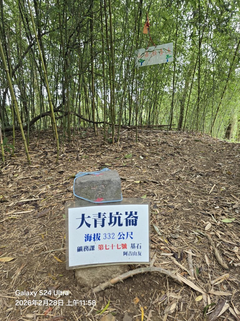 2026-02-28微笑山線：【大棟山系】405高地段_3008717