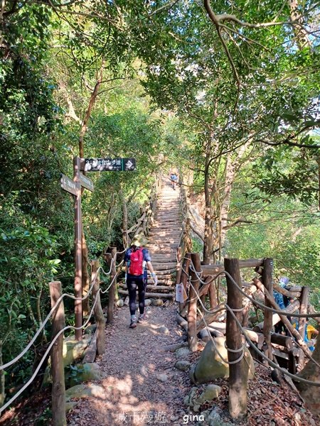 【台中北屯】第一次遇上大坑步道群起霧。 大坑三號步道_2695129