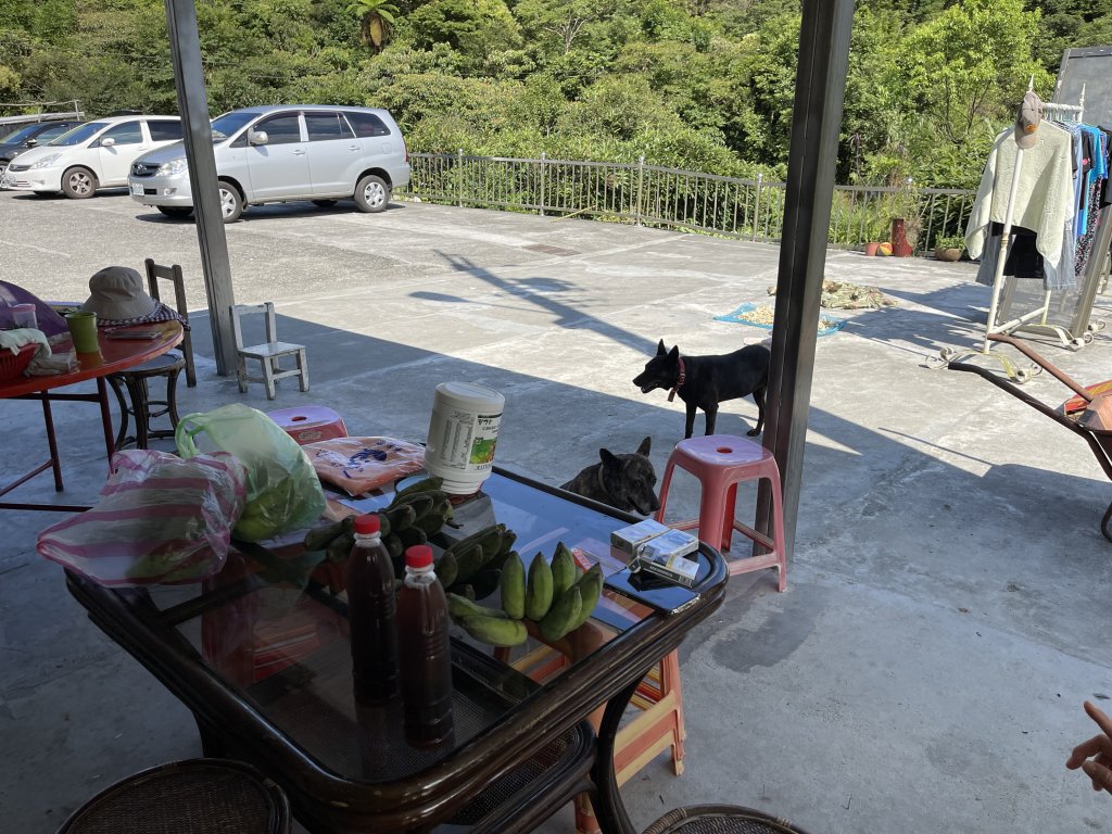 一二三訪虎豹潭古道/虎豹潭步道_2649995