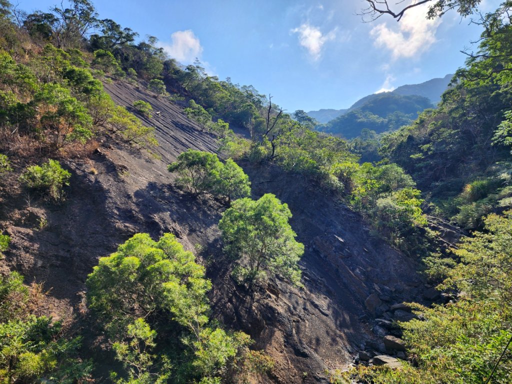 小百岳No.80⛰里龍山_2776334