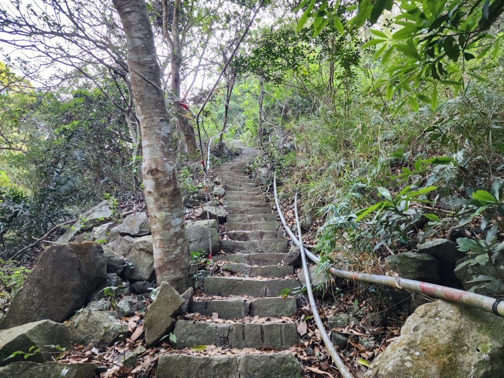 小百岳No.80⛰里龍山_2776323