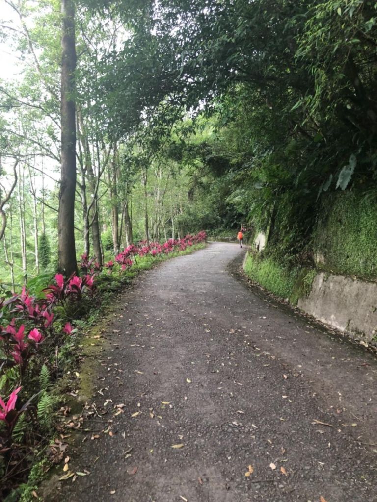 20180512熱到翻但值得的聖母山莊_331208