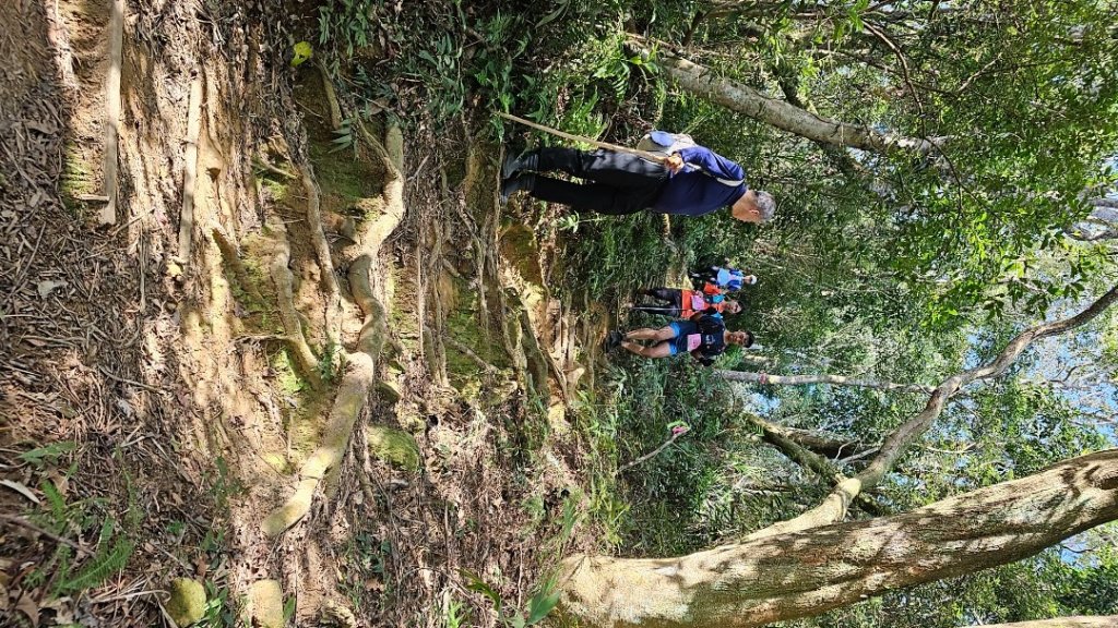 頭寮山縱走新溪州山來回_2353319