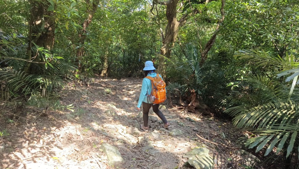 (姨婆趴趴走)第四十九集:攀登連走宜蘭梗枋山、橋板湖山_2747770