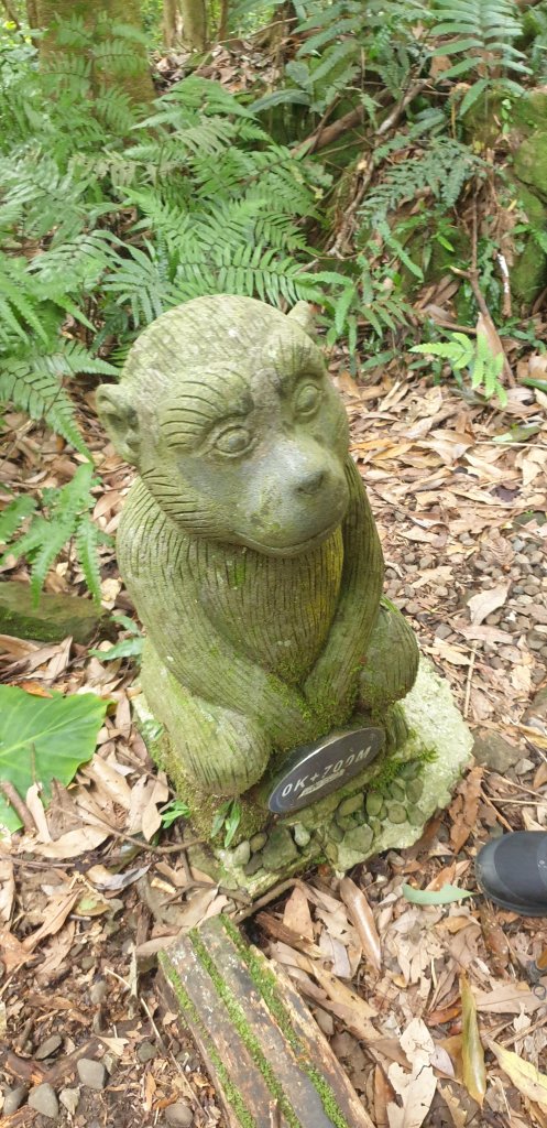 金龜岩、猴洞步道_1786157