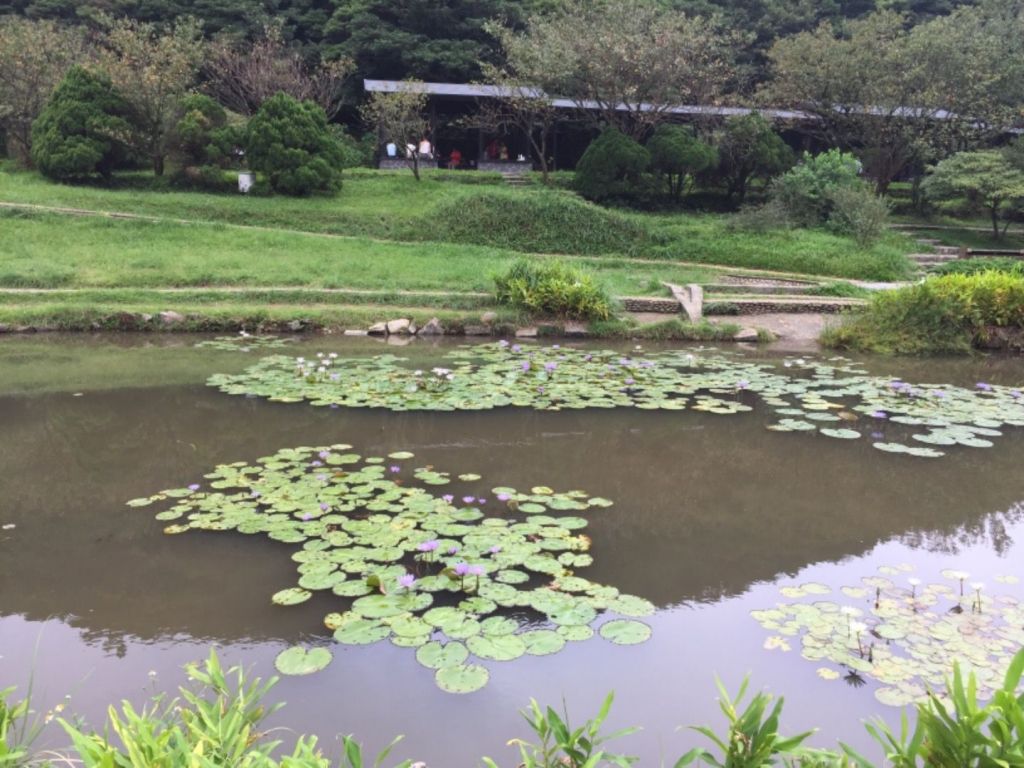 大屯谷-粗坑溪-大屯古道-大屯坪-二子坪_394758