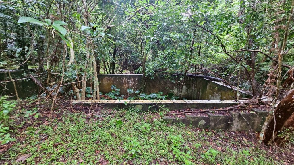 20250413浸水營古道_2760341