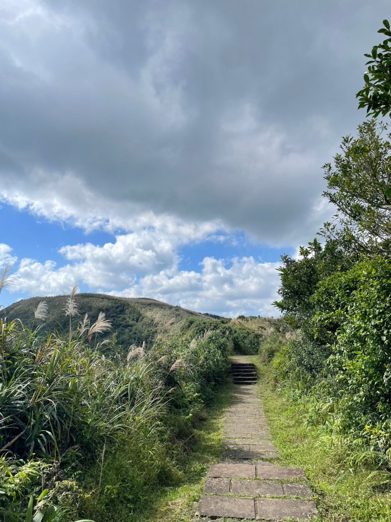 2023芒花季_2357416