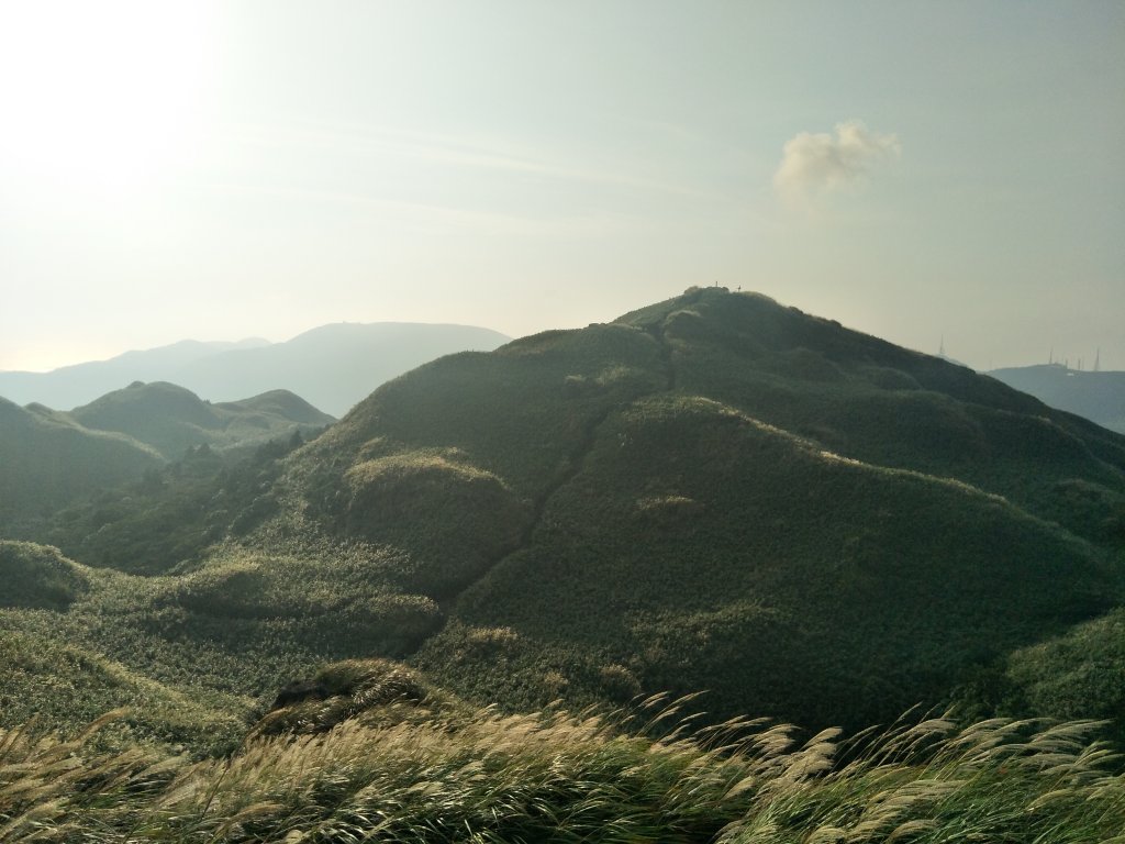 七星山主、東峰登山步道_1682180