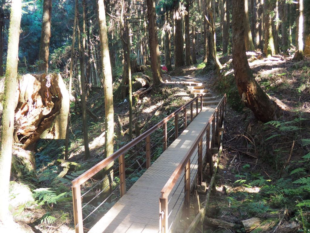 特富野O型 兒玉山東水山_229780