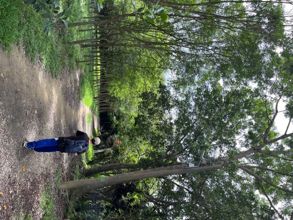 20230615_蘭潭後山、紅毛埤山（嘉義小百岳）封面圖