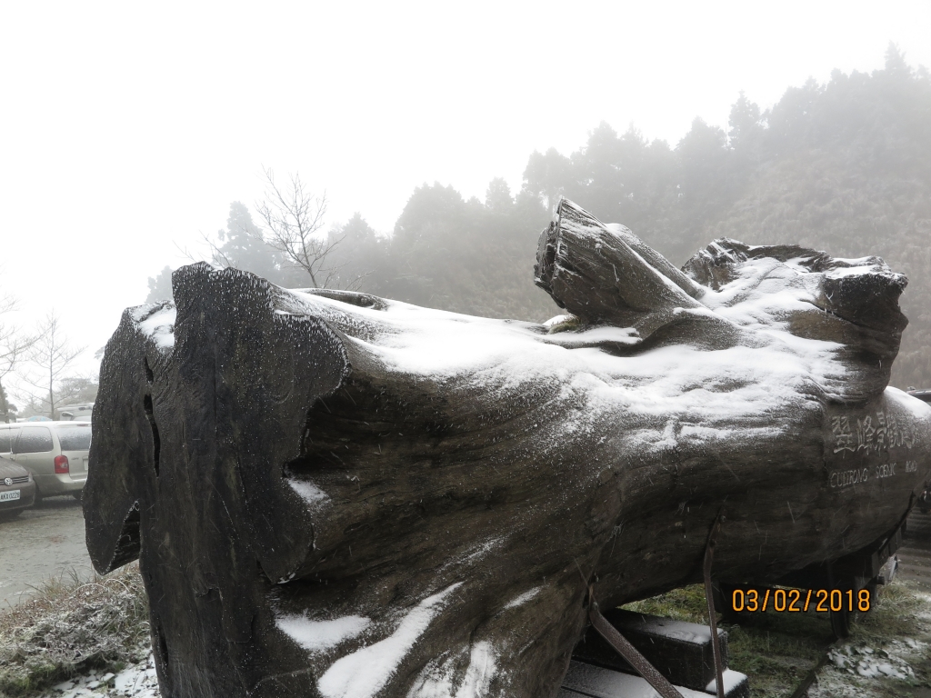 太平山 山毛櫸步道霧淞美景_262787