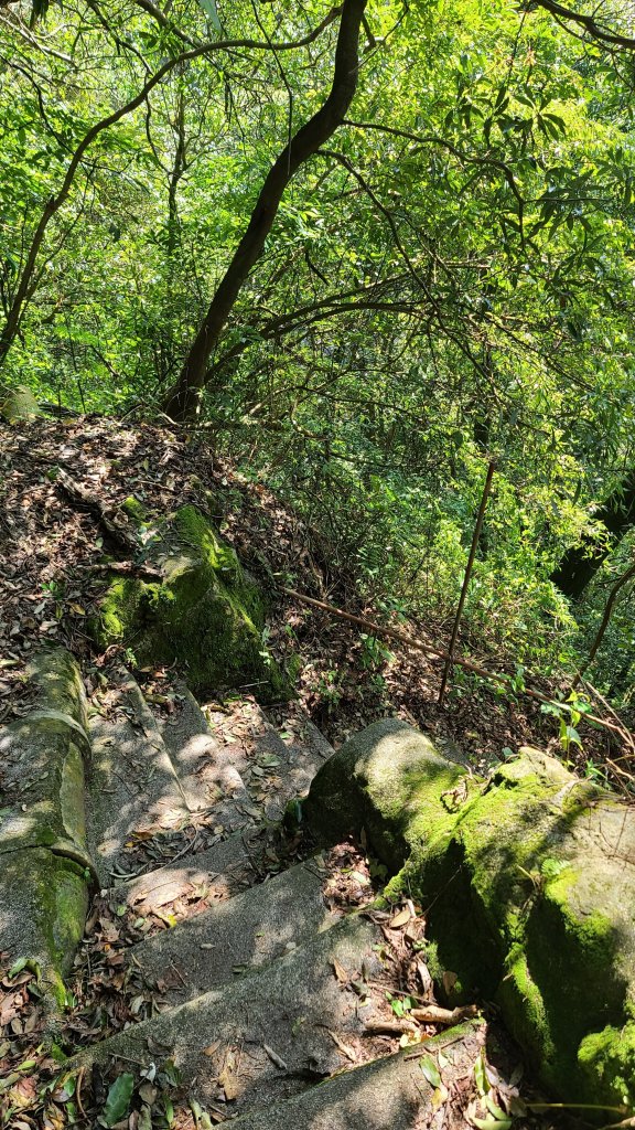 2022_0228巴拉卡到天母_1622139