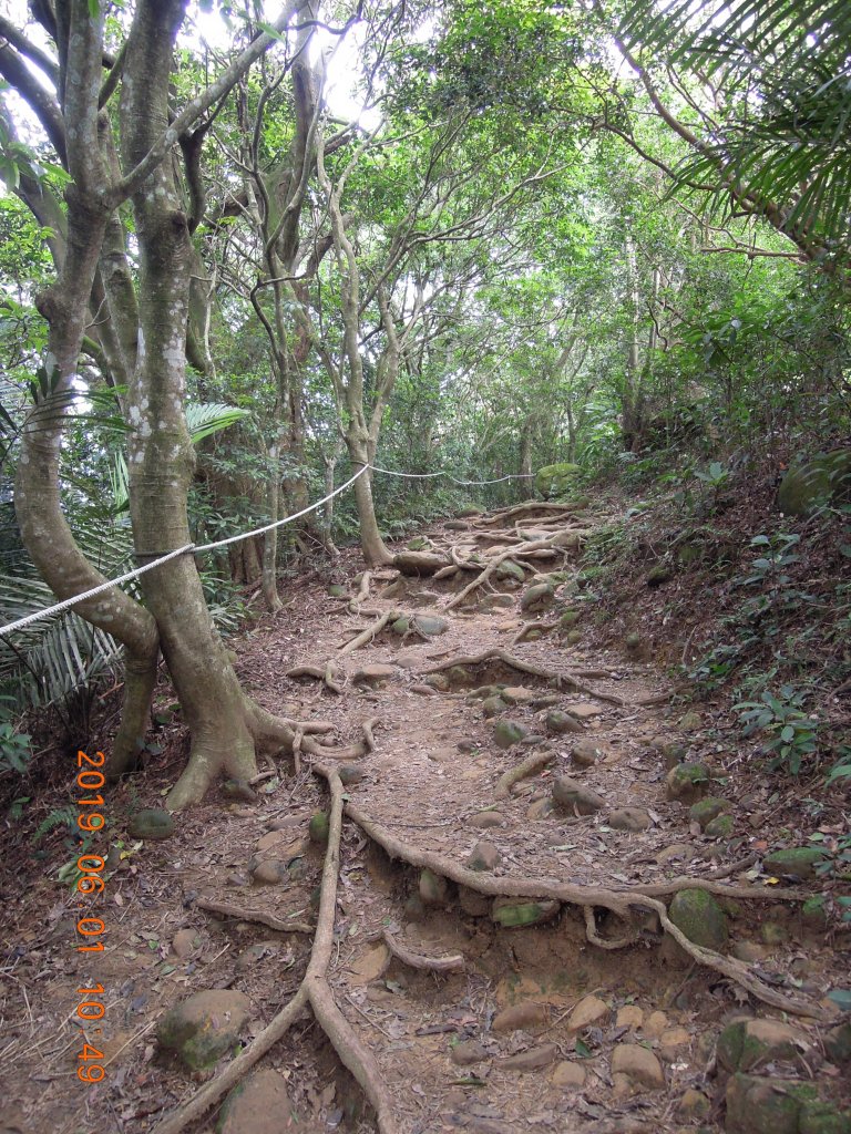 20190601_飛鳳山中坑山_835931