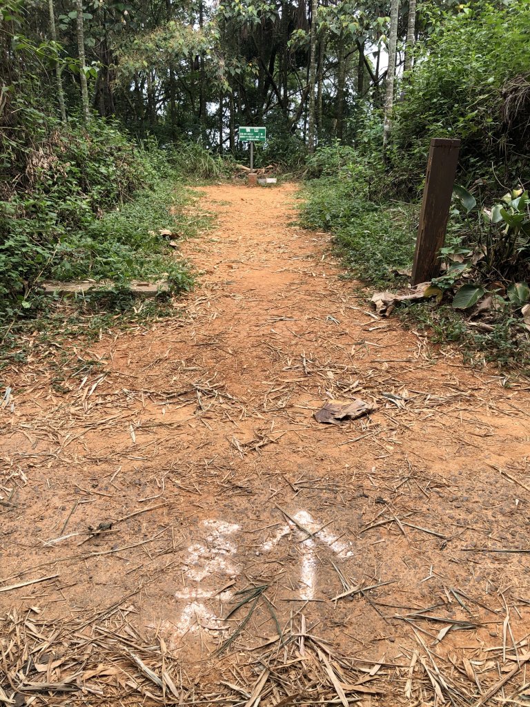 台灣小百岳No.048 橫山_1102128