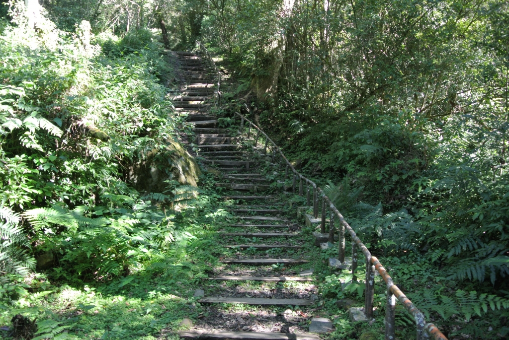 特富野古道+梯子板山_25564