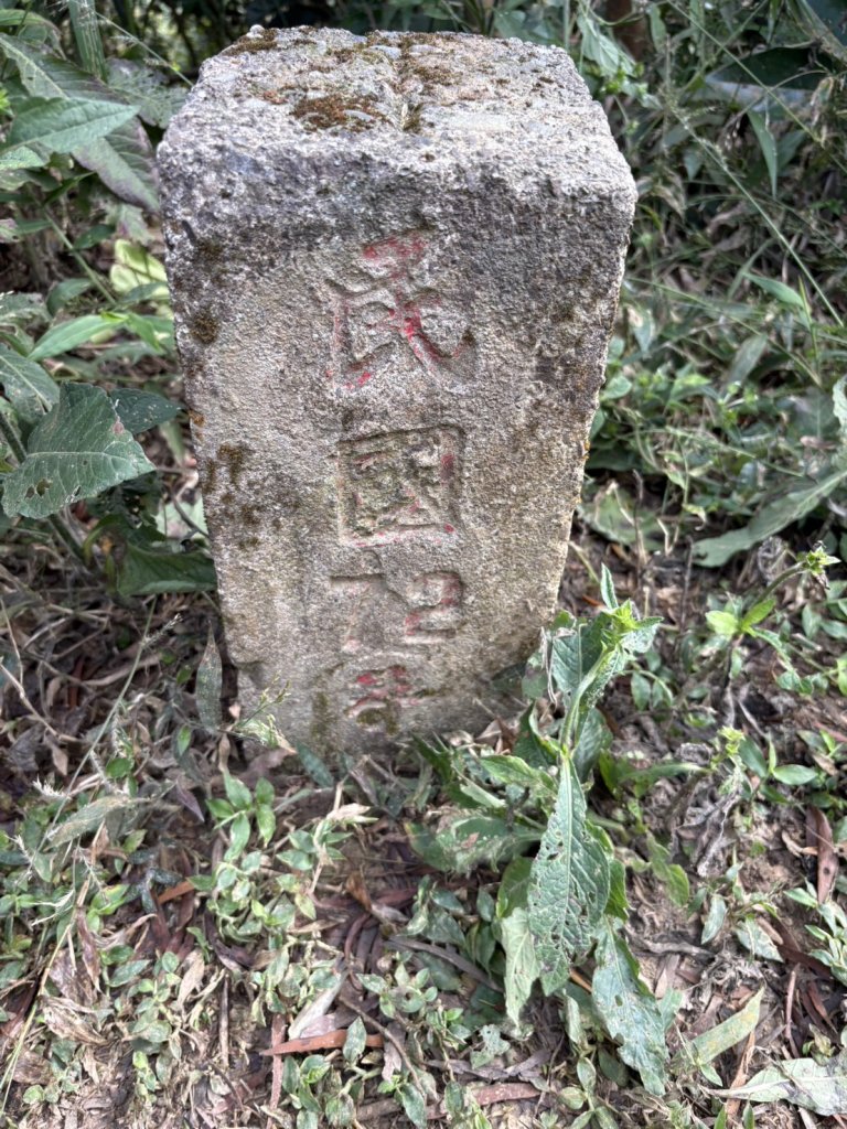 20251122獨立山國家步道+觀音石山+阿拔泉山_2944380