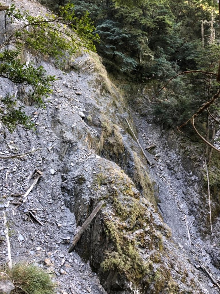 雪季馬博橫斷_553031