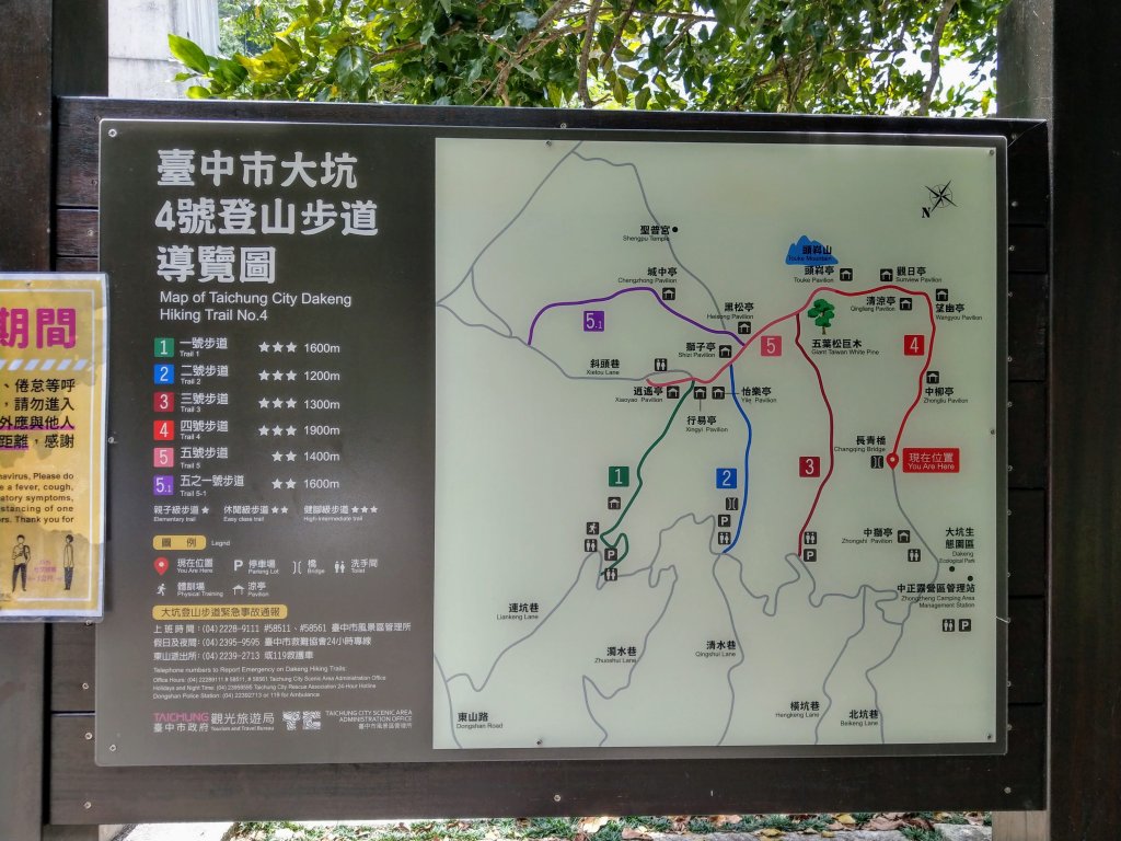 頭嵙山(小百岳#41)大坑4,5,1步道_1003667