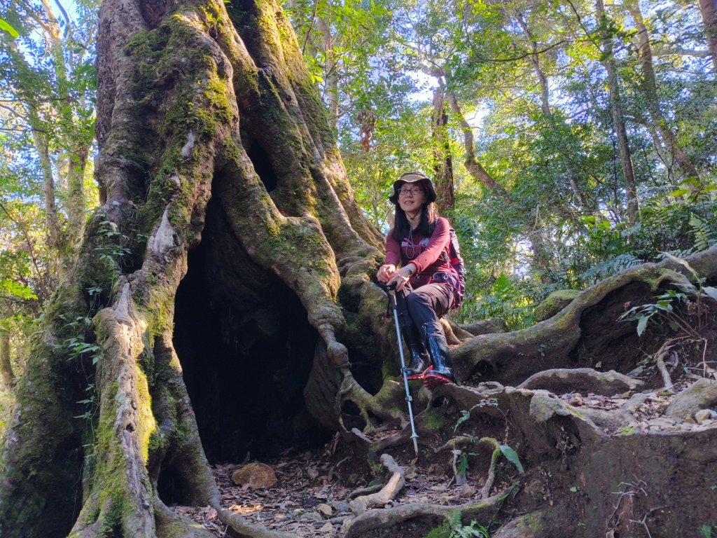 高島縱走20250215_2713763