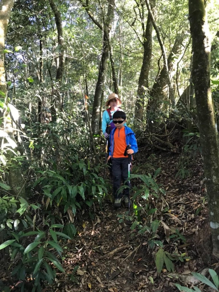 細道邦山 馬那邦山_464680