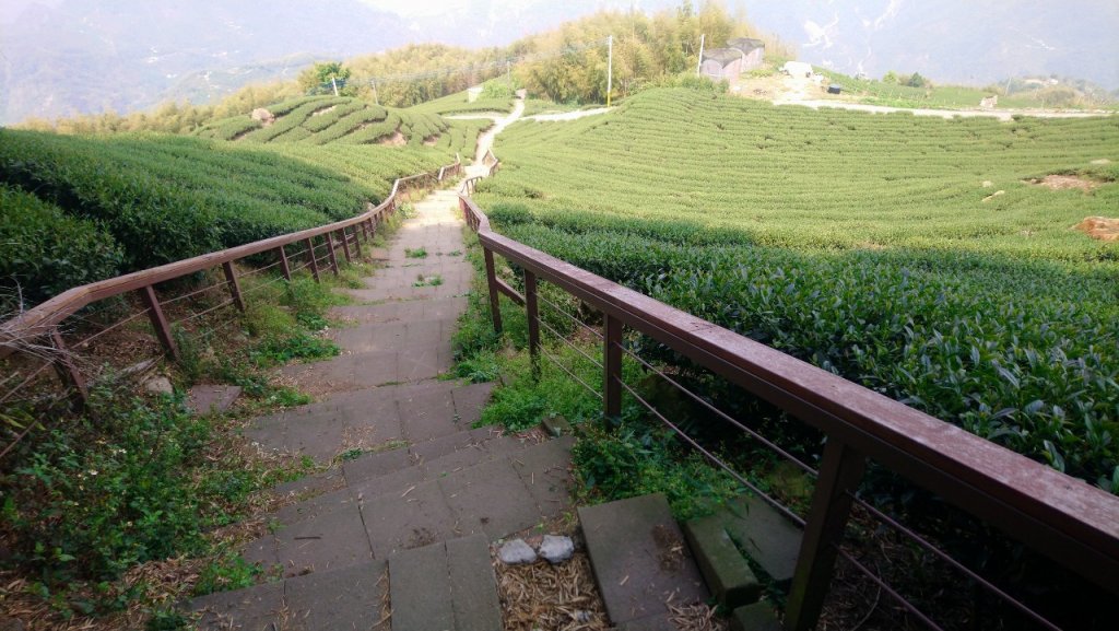 樟湖山、後棟仔山、大尖山、二尖山4山連走_1336967