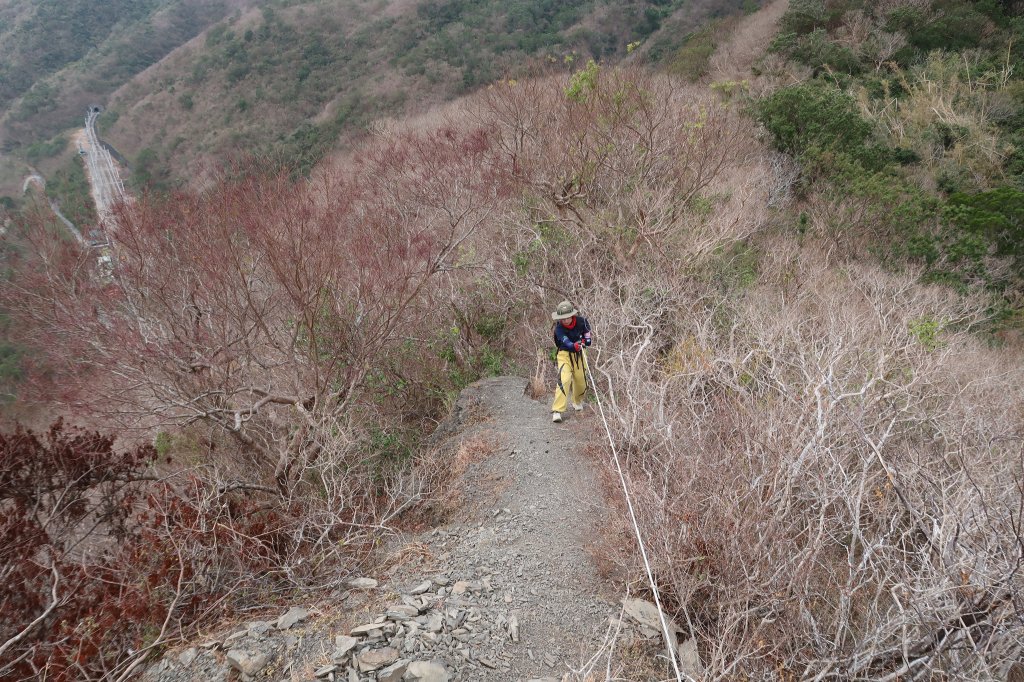 巴層巴墨山_2532092