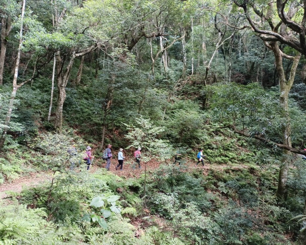 東滿步道森呼吸-20240901_2601512