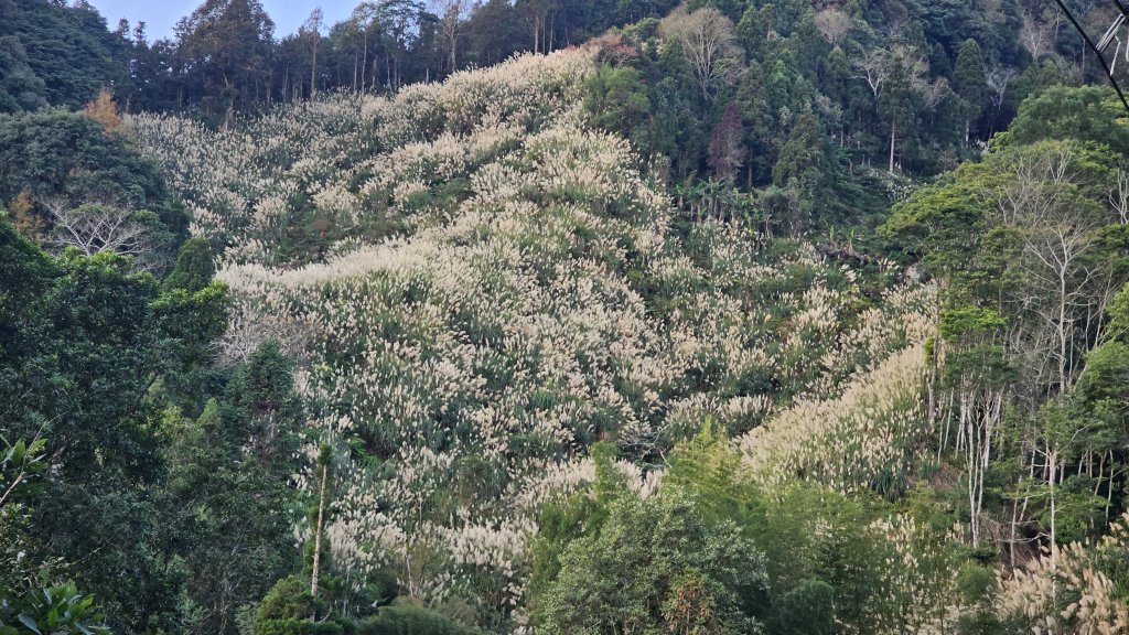 鵝公髻山 鵝公髻山東北峰 第一登山口上下入門路線封面圖