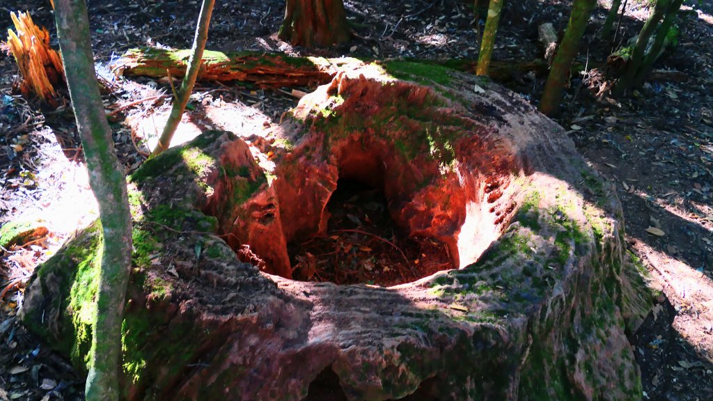 油羅山(一上三下)_2959127