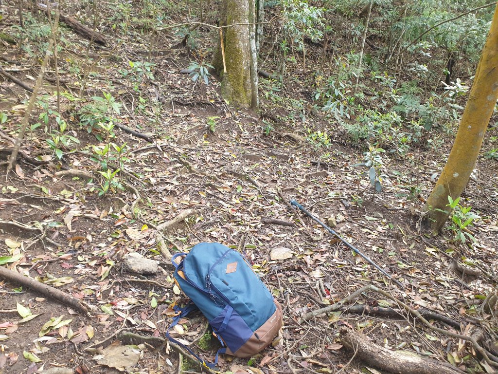待矢負山O型_1655805