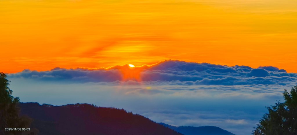 #太平山 #望洋山 #觀雲步道 #日出 #雲海 11/8_2931201