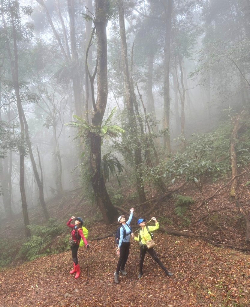 小百岳馬那邦山(H1407m)加碼採草莓_2694703