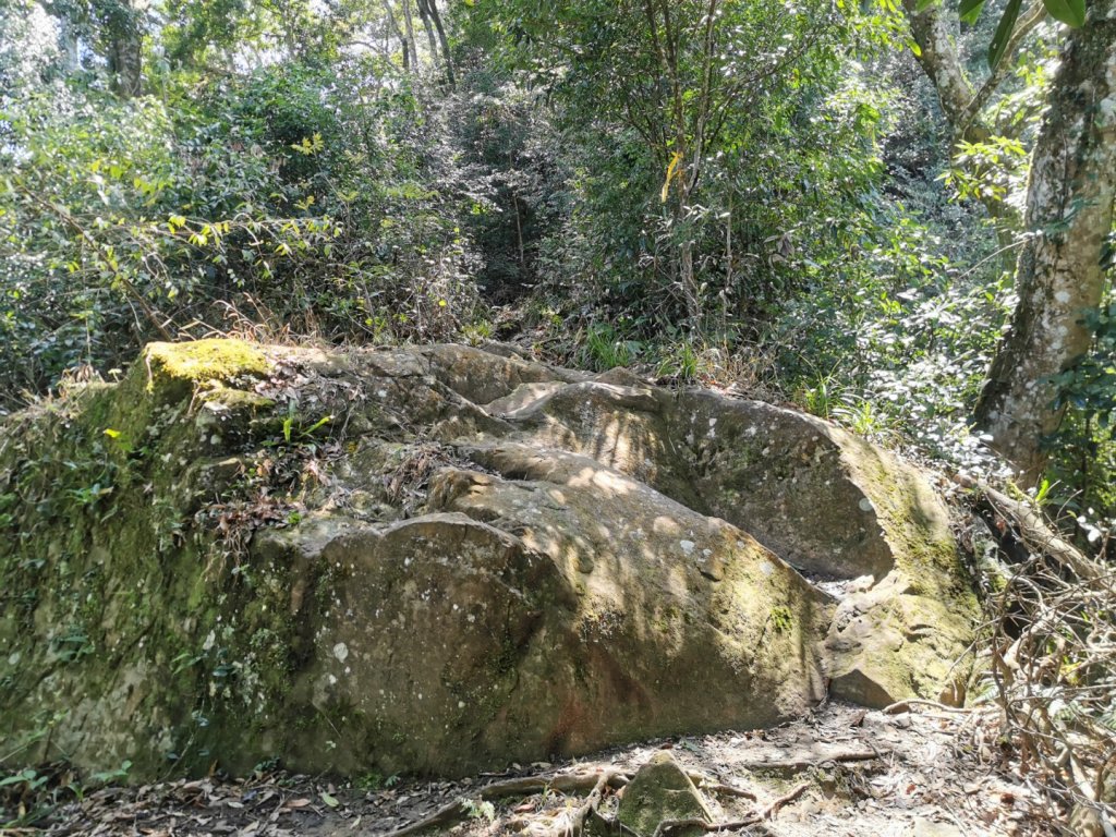 能與加里山互相對望的鵝公髻山_880390
