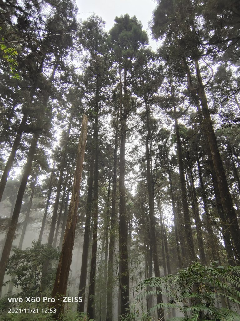 20211121雲之道霹靂山大凍山_1618509