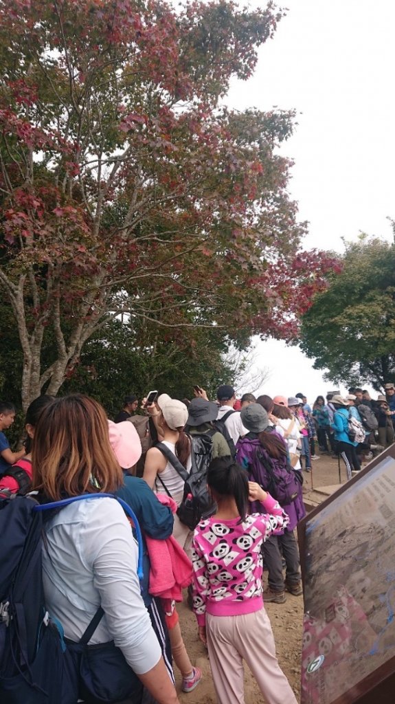 馬那邦山O走_2370066