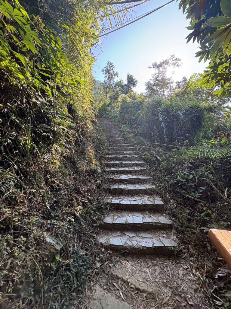 20251122獨立山國家步道+觀音石山+阿拔泉山_2944252