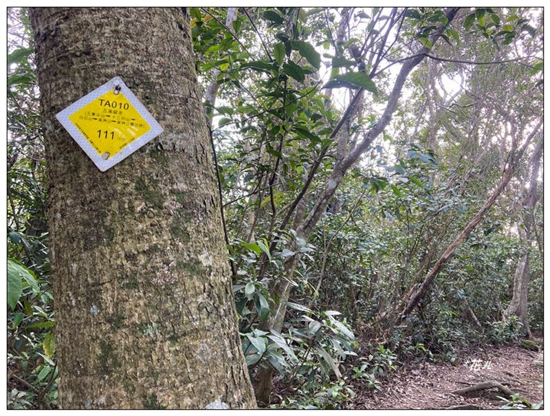 草嶺山、白石山、頭寮山 六連峰 O型路線_2798696