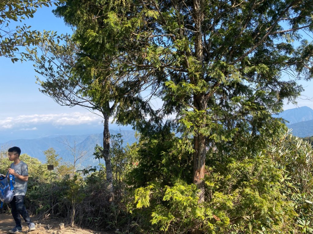 新竹尖石-高島縱走_2612708