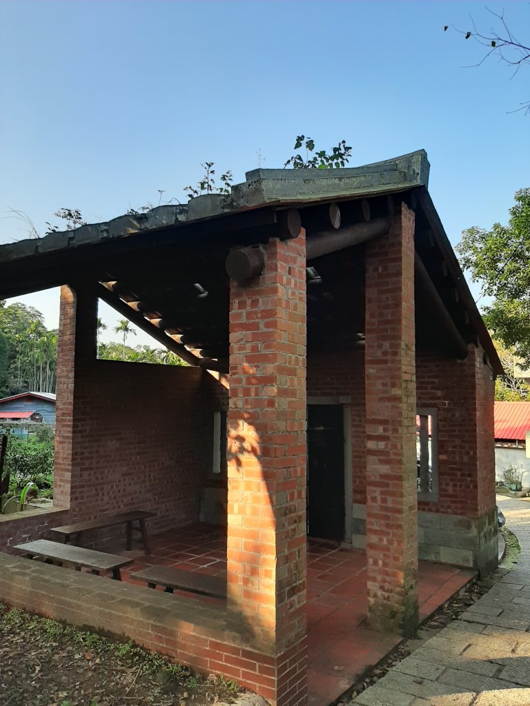 臺北大縱走7：家鄉的茶園開滿花 閃閃的淚光魯冰花_822125