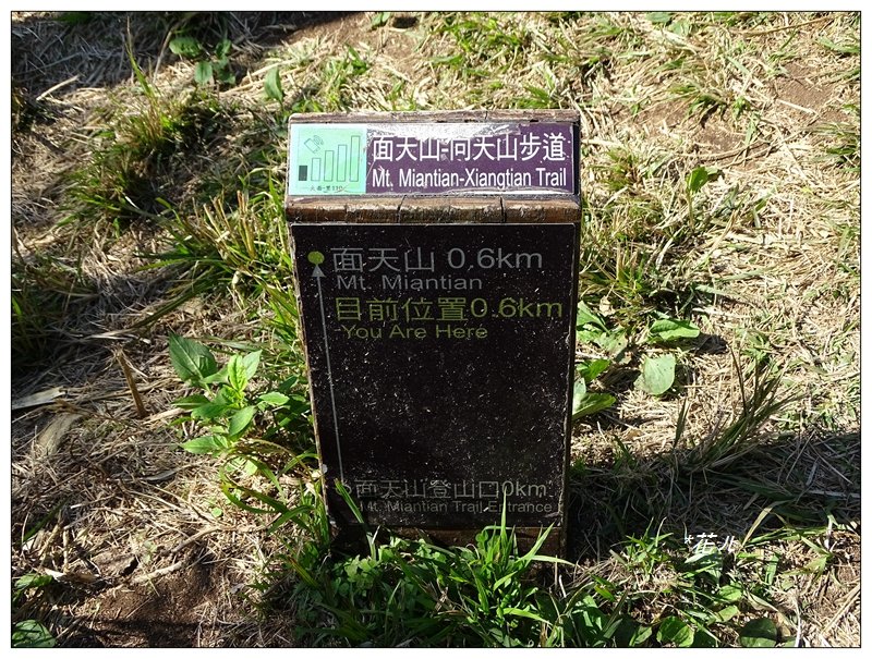 面天山、向天山步道_735516