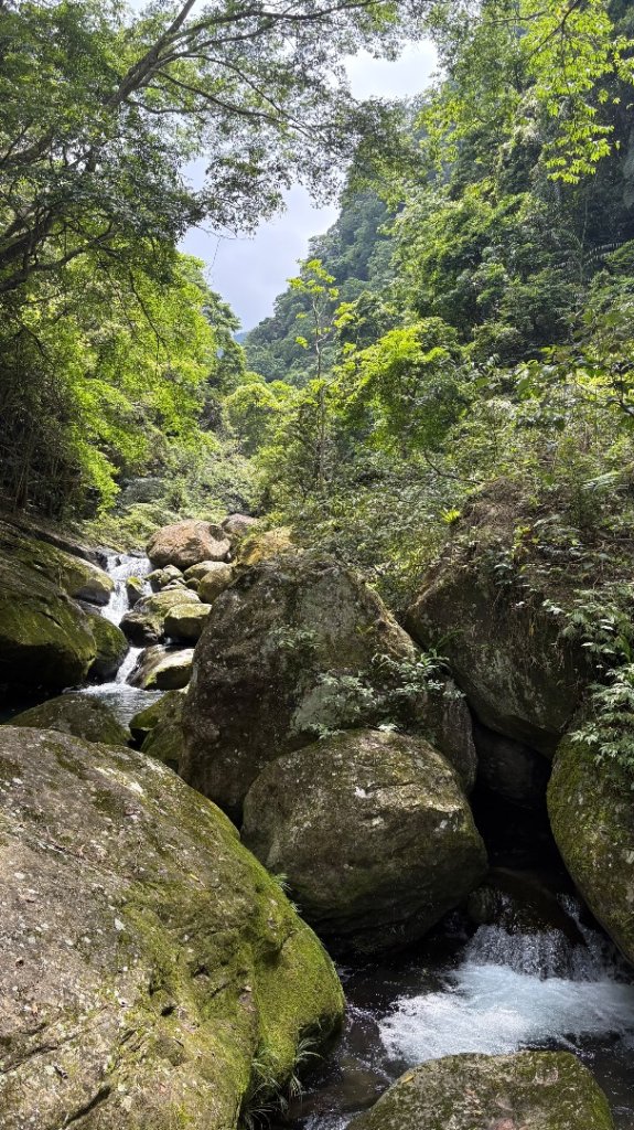 戲水（鴛鴦_2786677